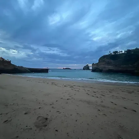 Argia - Large Beach, Center, Swimming Pool- Biarritz